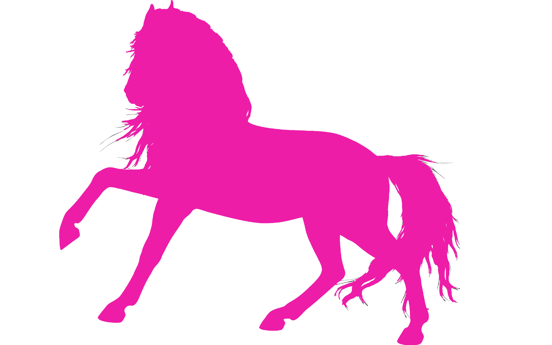 Pink Pony Decals